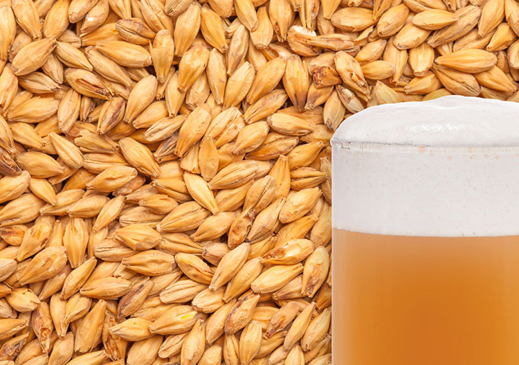 Application of special malt in beer brewing?