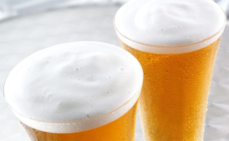 Factors Affecting Beer Foam
