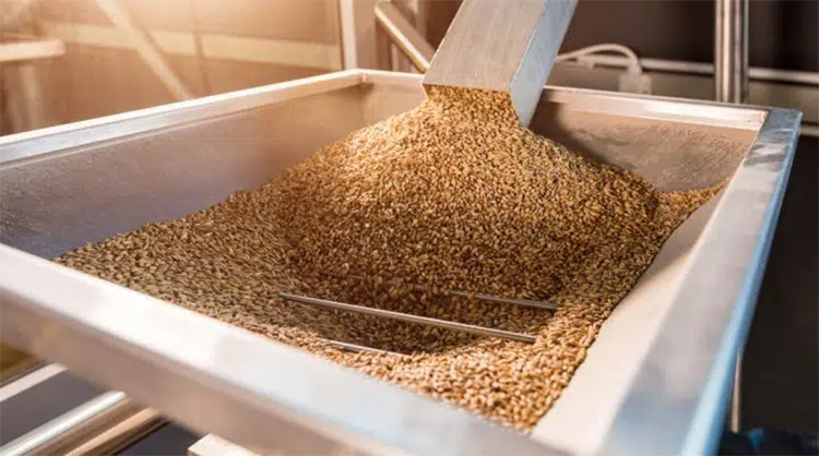 How to improve the brewing efficiency of beer?