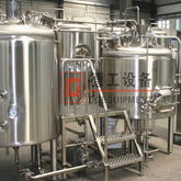 600L Bars/hotels/shopping Centers Craft Commercial Brewery Equipment