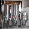 Build Your Own Beer Brewing System 5BBL/7BBL Brewery Equipment in Bar/hotel/restaurant