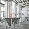 20BBL Combination Freely Mash System with Steam Heating Sus304 Isotonic Beer Fermenter for Sale