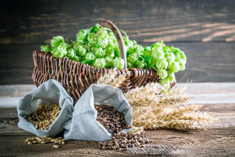 Key Factors Affecting The Taste of Craft Beer