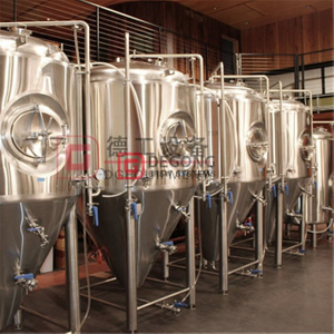 Brewery equipment fermentation tanks and bright beer tank cellar beer brewing equipment commercial 10HL