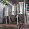 Double Wall Craft Brewery Equipment Apply To Breweries, Bars, Restaurants Commercial Or Industrial 10HL