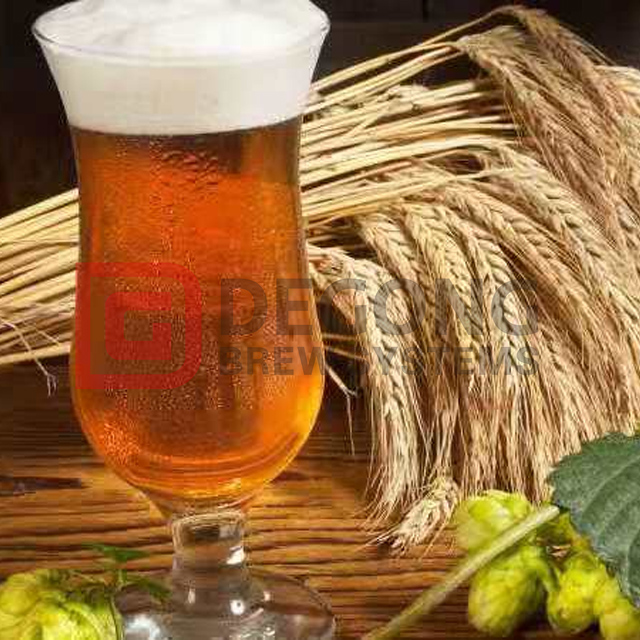 How Do High-performance Brewing Equipment Determine Brewing Efficiency?