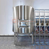 What Kind of Brewing Equipment Do You Need To Start A Beer Brewery Business-500L Brewery Equipment Is A Good Choice