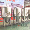 200L turnkey stainless steel beer fermentation tank fermenter with PED certificate home beer pub brewery use