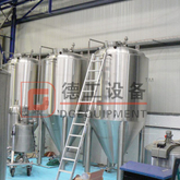 600L High Quality Ss304 Conical Craft Beer Fermentation Tank
