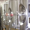 Custom stainless steel jacket fermenter applied in restaurant beer bar 