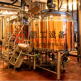 600L Chinese Red Copper Best Home Beer Microbrewery Nano Commercial Brewing System
