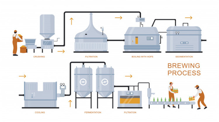 beer brewing process
