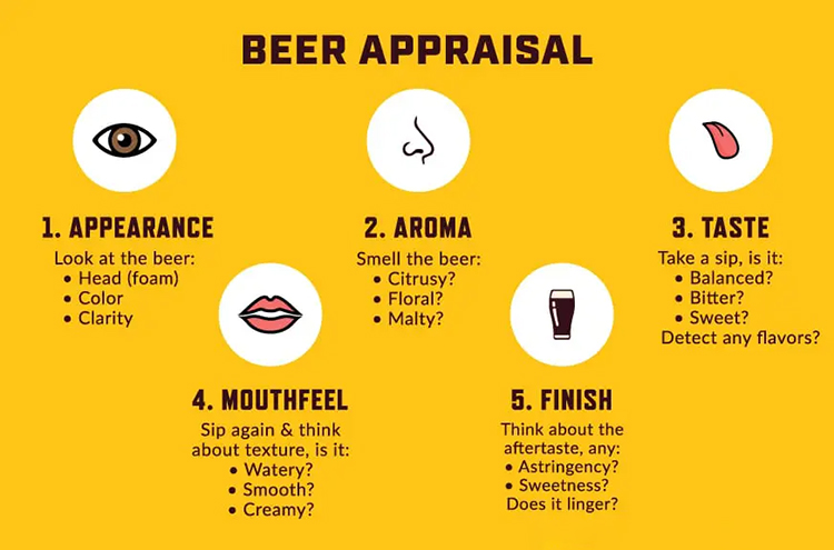 How to evaluate a beer professionally?