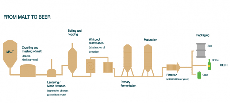 What are the requirements for site selection for a new microbrewery?
