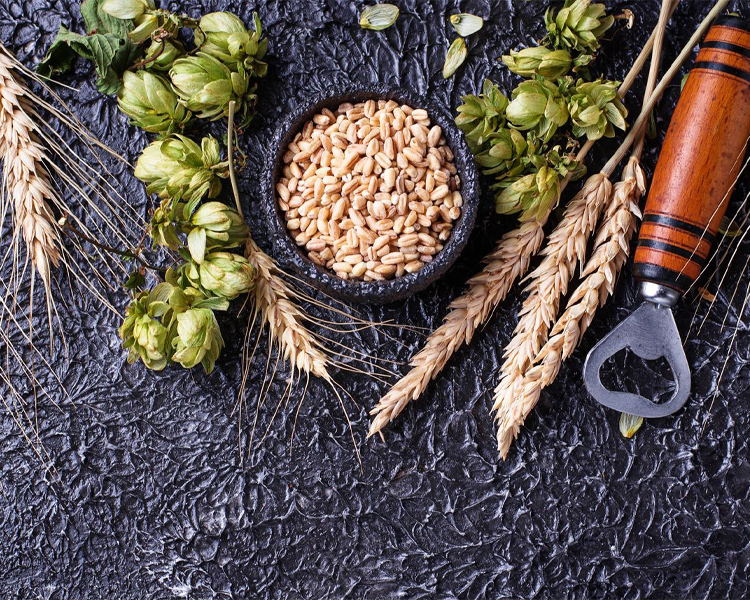 degong-brewing-ingredients-guide-main