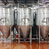 1000L High Quality Stainless Steel Fermentation Tank Cylindrically-conical Tanks with A Modular Construction for Sale