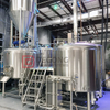 300L 500L Beer Brewery Equipment Restaurant 2-vessel Craft Brewhouse Conical Fermenter for Sale