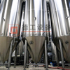 2000L (20HL) Beer Making Stainless Steel 304 Craft Brewery Equipment for Fermentation Tank Europe