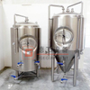 500L 1000L Fermentation Tank SUS304/316 CCT FV Affordable High Quality Beer Brewery Equipment