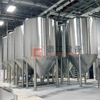 20BBL Combination Freely Mash System with Steam Heating Sus304 Isotonic Beer Fermenter for Sale