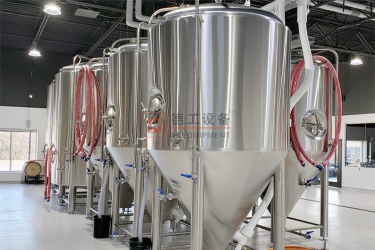 1000L 800L 600L Fermentation Vessel Beer Stainless Steel Fermenters