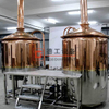 200L home brewing equipment pilot/microbrewery easy to operate copper or stainless steel construction