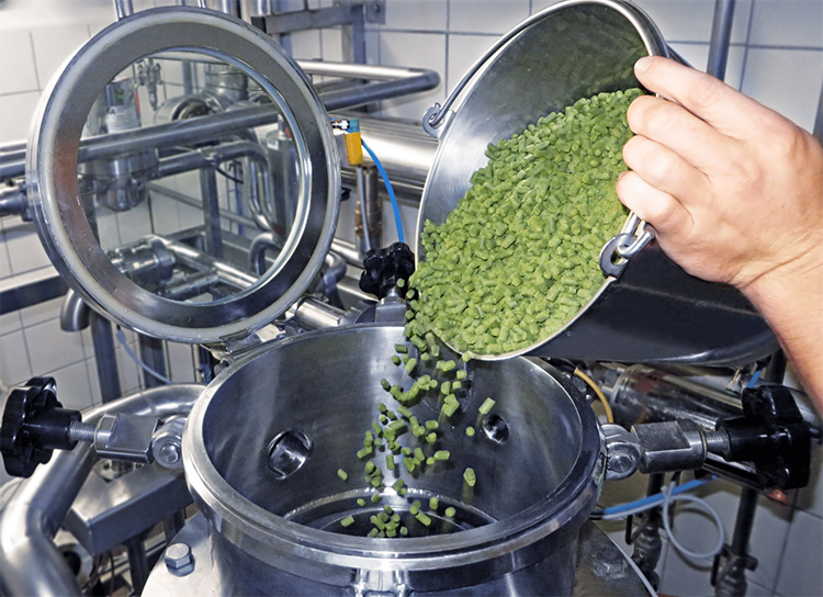 The main role of wort boiling in beer production