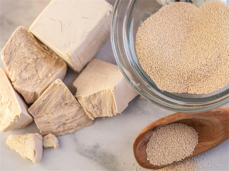 yeast
