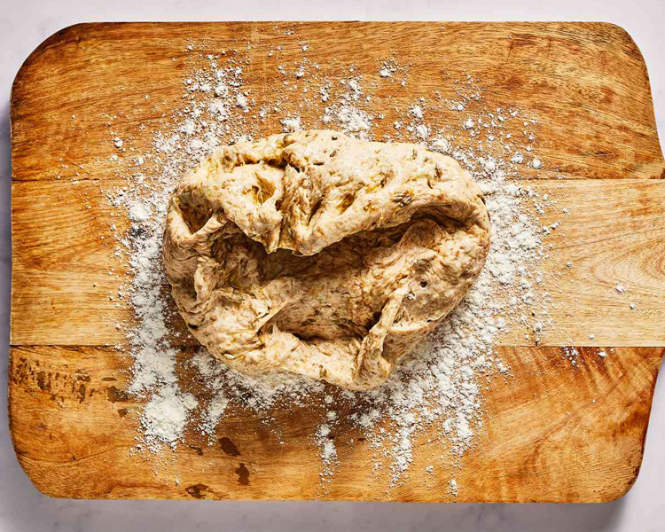 degong-spent-grain-management-guide-003