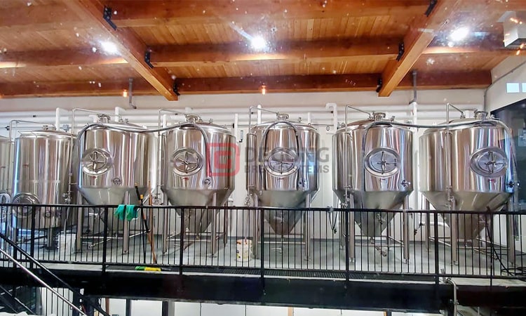 Why Does Stainless Steel Brewing Equipment Rust?