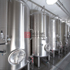 2000L Stainless Steel Double Jacketed Customized Unitank/Fermentation Tanks for Sale
