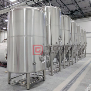 Beer Brewery Unit 1000L Fermenter Storage Tank CCT Beer Fermentation Complete Fermentation Sets for Sale