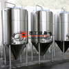 200L Customized Fermentation Tank/fermenter/unitank with CE Certificate for Sale