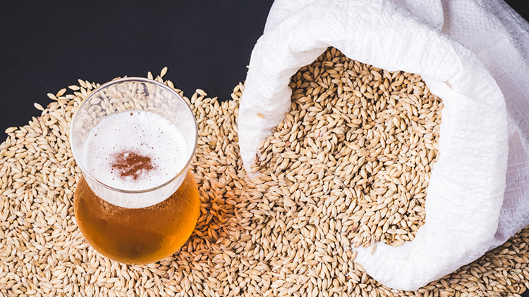 Basic tips for brewing wheat beer using beer equipment