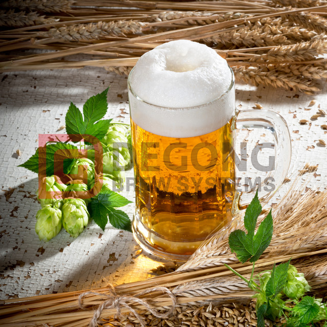 Beer Brewing Equipment38