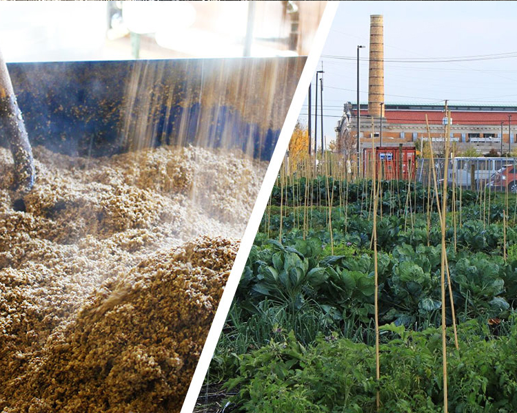 degong-spent-grain-management-guide-005