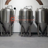 CE ISO TUV 5BBL Beer Brewery Equipment CIP Station Freely Combination Brewhouse System Conical Fermenters for Sale
