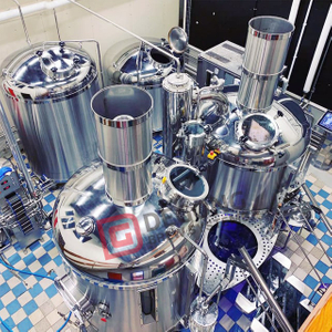 Brewhouse Wort Machines Wort Brew Systems(WBS) Restaurant Pub Brewery Equipment High Quality Fermenter for sale