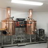 200L home brewing equipment pilot/microbrewery easy to operate copper or stainless steel construction