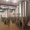 600L/6HL Nano Brewery System Brewpub Restaurant Customized beer making equipment for sale