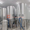 500L Mini Brewery Equipment for Conical Double Wall Beer Fermentater for Sale