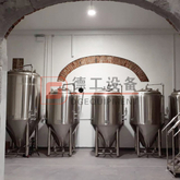 China Brewery plant made a turnkey 7bbl beer brewing equipment for Euro