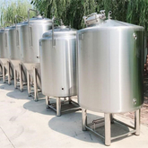 1000L 2000L Model popular size FV(Fermenting vessels) maturing tank unitanks with brite tanks