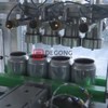 20 Bottles/min Canning Machine for Brewery Use with CO2 Purging