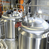 turnkey customed 500L stainless steel beer brewhouse equipment