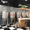 500L Commercial Turnkey 3-vessel Craft Beer Brewing Equipment for Sale 