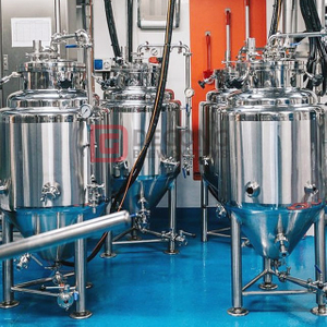 200L 300L 500L Beer Conical Fermenter Beer Fermentation Tank for Small Brewhouse 
