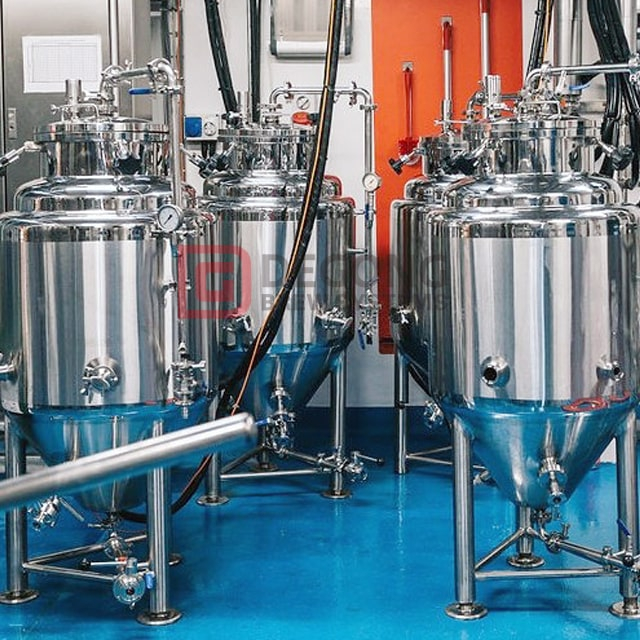 200L 300L 500L Beer Conical Fermenter Beer Fermentation Tank for Small Brewhouse 