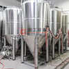 600L 800L 1000L Craft Beer Brewing System Sus304 2-vessel Brewhouse System All Grain Brewing System for Sale