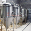 Commercial Beer Brewing Equipment 300L 400L 500L Sus304/316 Brewhouse System Conical Double Wall Fermentation Tank for Sale